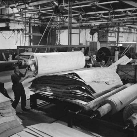 Veneer production at Picus, 1955